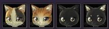 Blade & Soul - Little Scarab Guide: Pet Customization