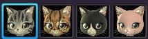 Blade & Soul - Little Scarab Guide: personalización de mascotas