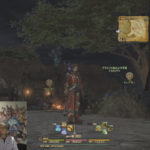 FFXIV - Informe de la XI Carta Viva