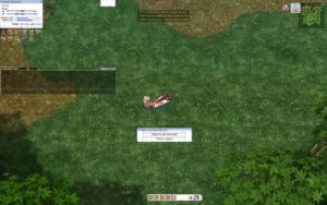 Ragnarök Online Revo-Classique - Ritorno alle origini di Poring