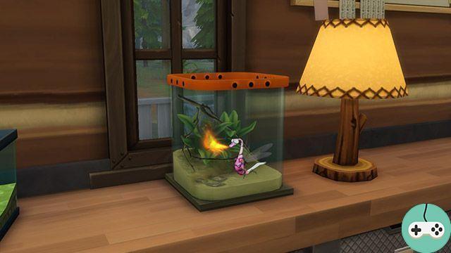 The Sims 4 - Coleção de insetos em Granite Falls