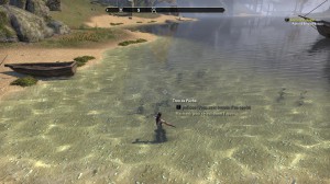 ESO - Pêcher in Tamriel