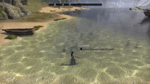 ESO - Pêcher in Tamriel