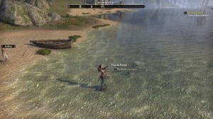 ESO - Pêcher in Tamriel