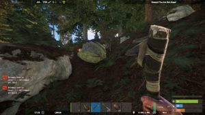 Rust - Pure Survival