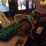 ESO - Quakecon images