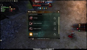 GW2 - PvP strutturato