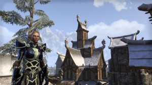 ESO - Archetype tank: Dark Knight