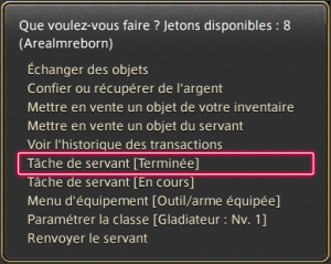 FFXIV - Os Deveres do Servo