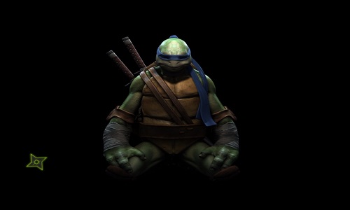 Teenage Mutant Ninja Turtles: From the Shadows - Panoramica