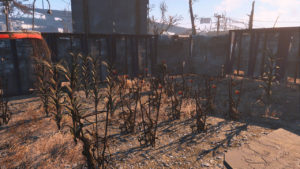 Fallout 4 - Crea la tua colonia