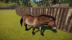 Planet Zoo – Pacchetto Conservazione