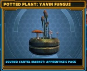 SWTOR - Cartel Market: Apprentice Shadow Pack