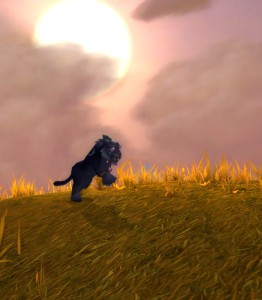 WoW - PvP Melee Choices: The Wild Druid