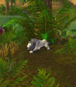 WoW - PvP Melee Choices: The Wild Druid