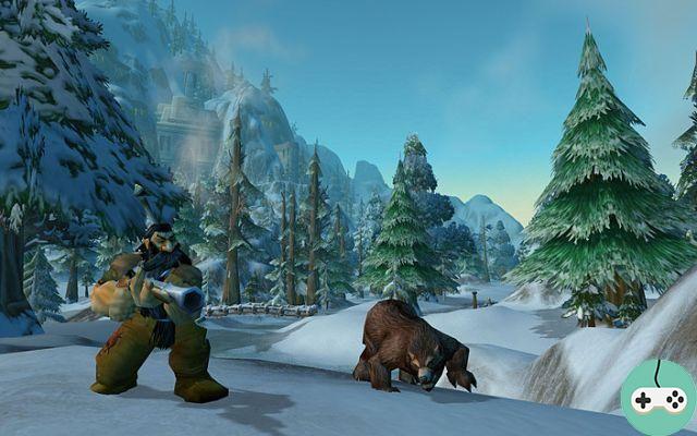 WoW - Scelta di classe PvP a distanza: The Hunter