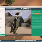 Planet Zoo – Pacote África