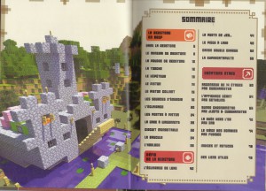 Minecraft: guide ufficiali