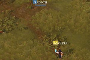 Albion Online - actualización de FAYE