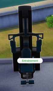 The Sims 4 - Novas Carreiras - Tarefas de Hoje