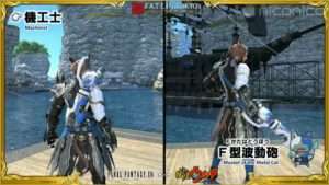 FFXIV - Report of the XXIXth Live Letter