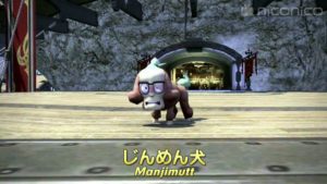 FFXIV - Report of the XXIXth Live Letter