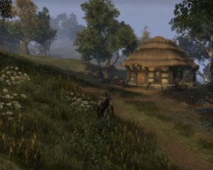 ESO - Beta - PvE en Cyrodiil