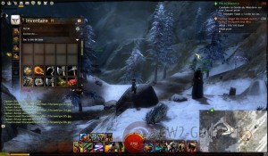 GW2 - Interface do usuário e cartão