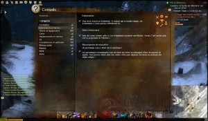 GW2 - Interfaccia utente e Card