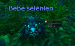 WoW - Selenian Festival Guide