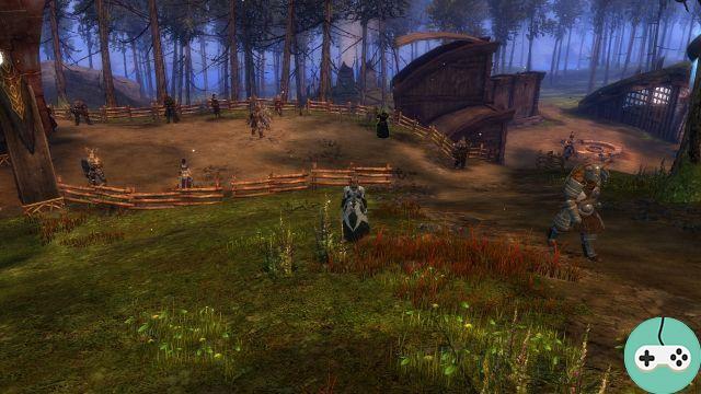 GW2 - Jumping Puzzle: Foothills of the Traveller