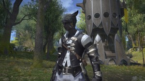 FFXIV - Corridas: les Miqo'tes