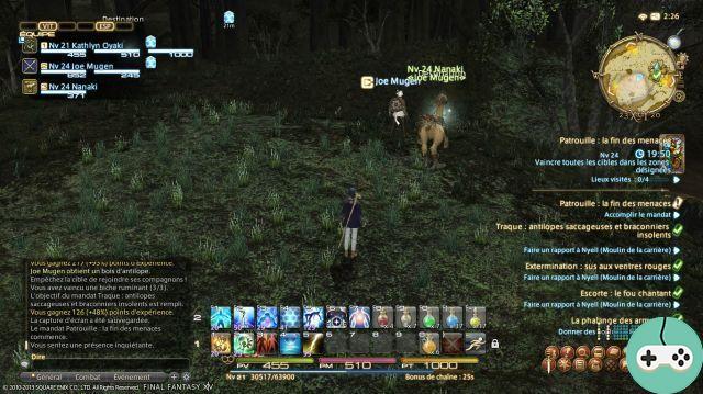 FFXIV - The chocobo companion