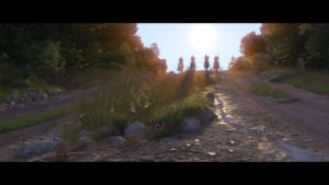 Kingdom Come: Deliverance - Beginner Tips