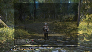 FFXIV - Fase 4: dettagli dell'aggiornamento