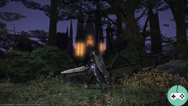 FFXIV - Le Paladin