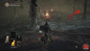 Dark Souls III - Posizioni dei frammenti di fiala di Estus