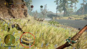 Far Cry Primal – Easter Egg Assassin’s Creed