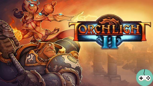 Torchlight II - Un adattamento ai capelli