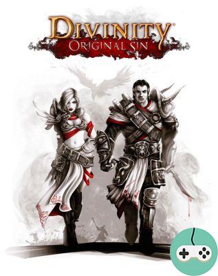 Divinity: Original Sin - Appearance