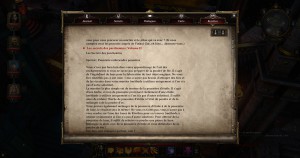 Divinity: Original Sin - Appearance