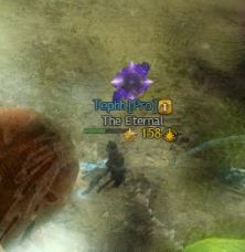 GW2 - Raid - Paressor