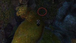 GW2 - Jumping Puzzle: Plateau de Diessa