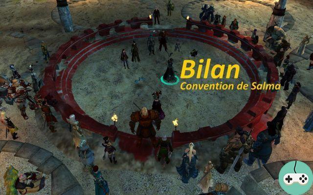 GW2 - Bilan de la Convention de Salma