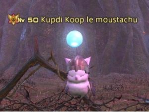 FFXIV - Nomi delle diverse tribù di Eorzea