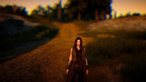 BDO - Screenshot mode and emotes