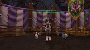 WoW - Darkmoon Faire: additions (6.0)