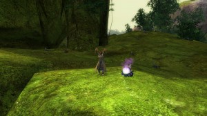 GW2 - Rompecabezas de salto: Bosque de Caledon