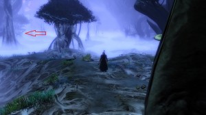 GW2 - Quebra-cabeças de salto: Floresta Caledon