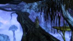 GW2 - Quebra-cabeças de salto: Floresta Caledon